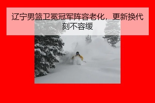 liao-ning-nan-lan-wei-mian-guan-jun-zhen-rong-lao-hua-geng-xin-huan-dai-ke-bu-rong-huan-2-894.jpg